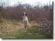 Aja-Eira z Vlčích Máku