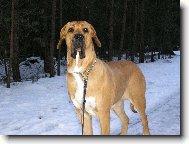 Osana Strážnický Ráj