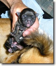 Čerstvě na světě