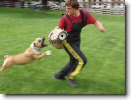 Gassy(Herby Hradní sklep)