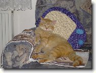 někdo mě vyhodil - jsem evropan????