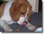 hmmm to byla dobrota