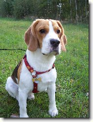 všechno mi tu patří