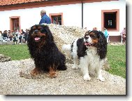 Brian a Reny, ve společnosti jsme jako doma