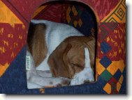 ani vyspat mě nenechá