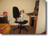 Co se v mládí naučíš... :-)