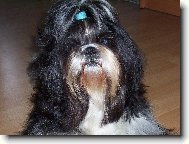 Co mě otravuješ, když se kochám