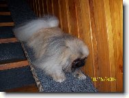 Schody - můj nepřítel