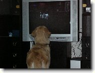 Nekoukej pořád na tu televizi.