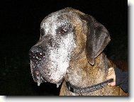 Caky u Rychlého ďábla