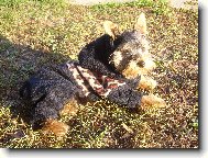 podzimní obleček...sluší mi to že?:-)