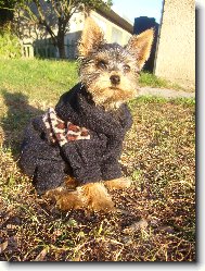 a ještě jednou v sedě....