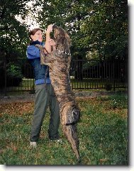 Baja Ořechovská skála