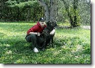 Baja Ořechovská skála