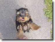 dej mi nějakou dobrůtku!!!