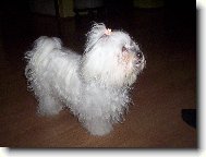 Moje láska.........Deli