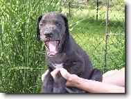 Umím se hezky smát!