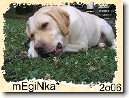 Megie kostičky miluje...