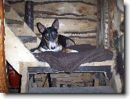 aj si rada podrímem