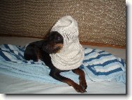 Jerynek v ponožce:)