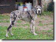 Dnes je mi 6 měsíců