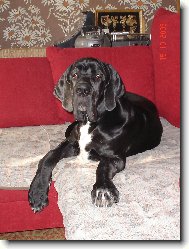 Cyrda - sedačka je sedačka.....