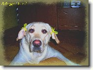 Meginka s culíčkama:))