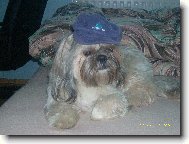 naš krasavec s čepicí