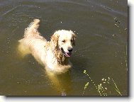 Plaváček Amíšek:0))