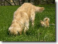 Dva stopaři!!!!!!!!!