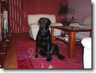 Bryta od Maršovských luk