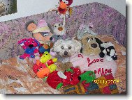 Mé hračky...vlastně jen polovička:)