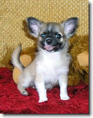 jsou nám tři měsíce