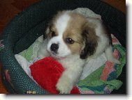 moje malá chiquitka