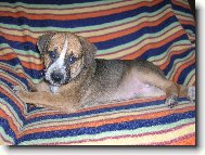 Nová členka rodiny