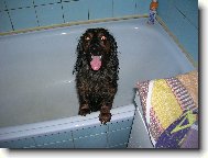 Naše Dejsi při koupání