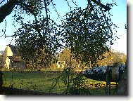 jmelí na mé zahradě