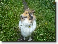 Adélka v trávě!!!