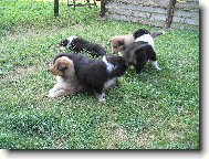 ...já na bráchu,brácha na mně...