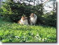 ...mám Tě ráda...