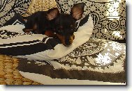 Teď budu spinkat... tak nerušit :)