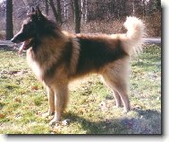 Dino Rudolfovská skála CZ