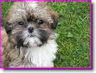 Tak se tvářím,když něco provedu...