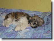 No tak dobře, já ti kousek uhnu...