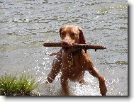 Erik od Veselského jezu (Mates)