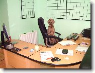 Ambra od Vokačovského rybníka