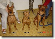 MAMINKA A JEJÍ SYNOVÉ NA NÁVŠTĚVĚ