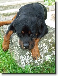 kuk i malej kámen stačí pro odpočinek