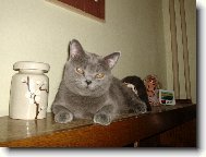 Naše pohodová Bukynka