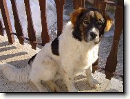 Barnabáš Jakubská húrka